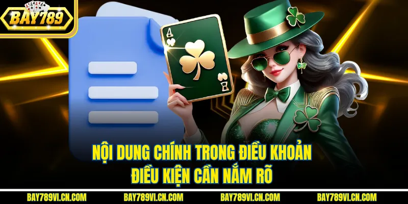 Nội dung chính trong điều khoản điều kiện cần nắm rõ